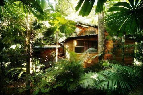 Cape Tribulation Resort & Spa Exteriör bild