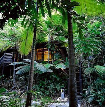 Cape Tribulation Resort & Spa Exteriör bild