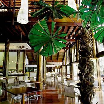 Cape Tribulation Resort & Spa Exteriör bild